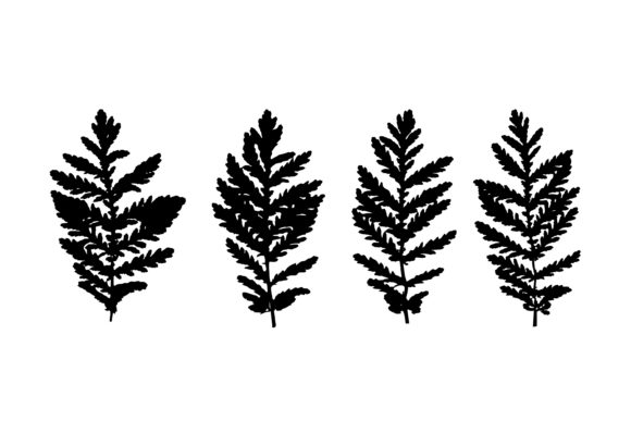 Black Leaves Silhouettes of Grass