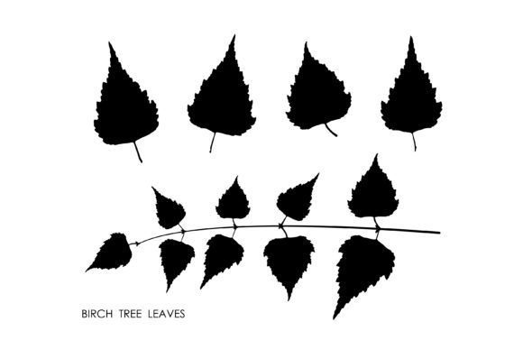 Black Silhouettes of Birch Leaves