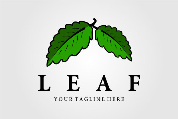 Leaf Vintage Logo Vector Illustration: What to Check Before You Download