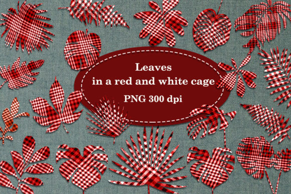 Leaves in a Red and White Cage: A Creative Digital Resource