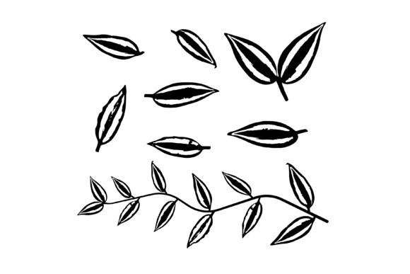 Thin Tradescantia Liana Grass Leaves