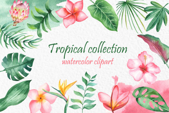 Tropical Collection Watercolor: Elevate Your Summer Designs Without the Common Pitfalls