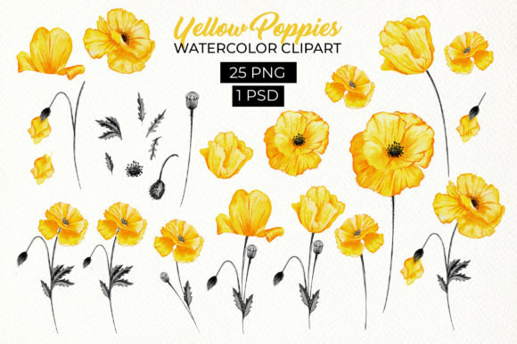 Yellow Poppies Floral Watercolor: A Comprehensive Guide to Botanical Digital Art for Creative Projects